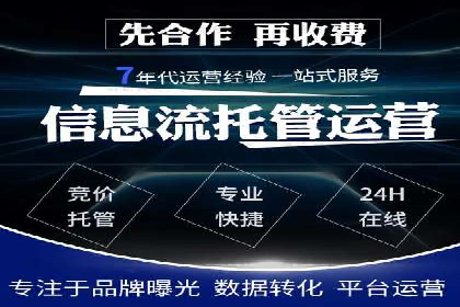 SEM推广技巧：成功案例深度剖析